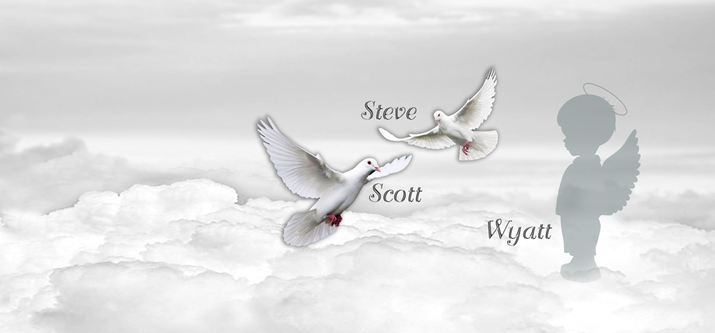 WT Clouds (dove angel) PROOF